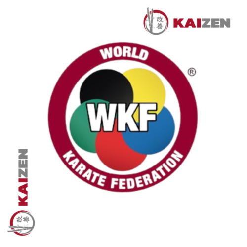 Protector Inguinal SMAI - Aprobados por WKF