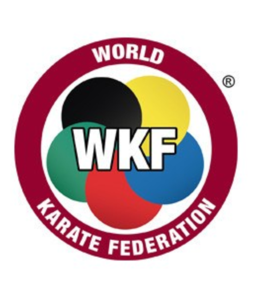 Karategi para Kumite - Pro Fighter - SMAI - aprobado por WKF