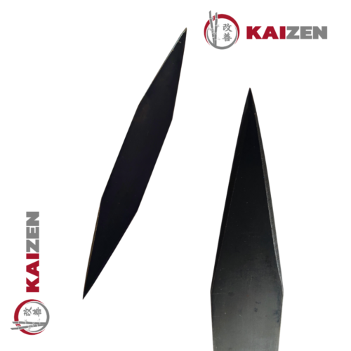 Itta Ken- Ninjutsu